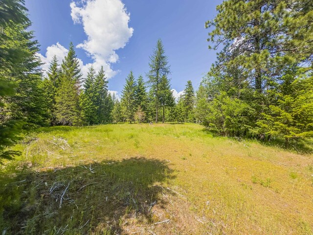 351 Stohr Rd, Newport, WA 99156 - photo 11