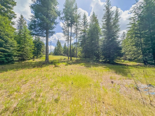 351 Stohr Rd, Newport, WA 99156 - photo 12