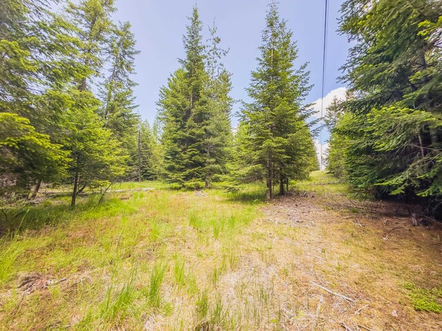351 Stohr Rd, Newport, WA 99156 - photo 14