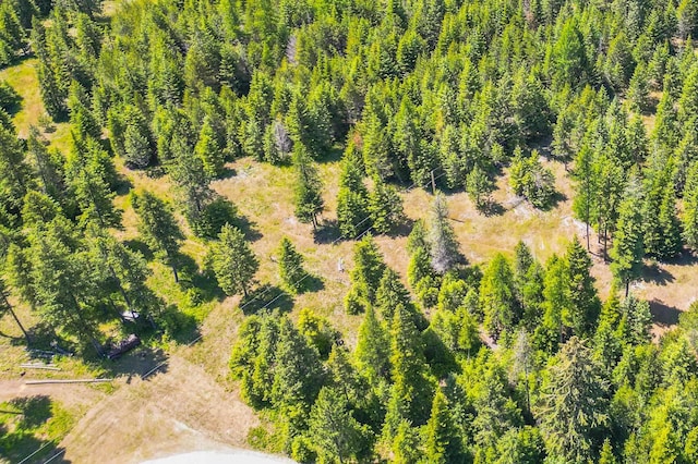 351 Stohr Rd, Newport, WA 99156 - photo 18