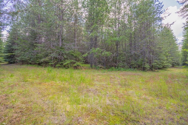351 Stohr Rd, Newport, WA 99156 - photo 3
