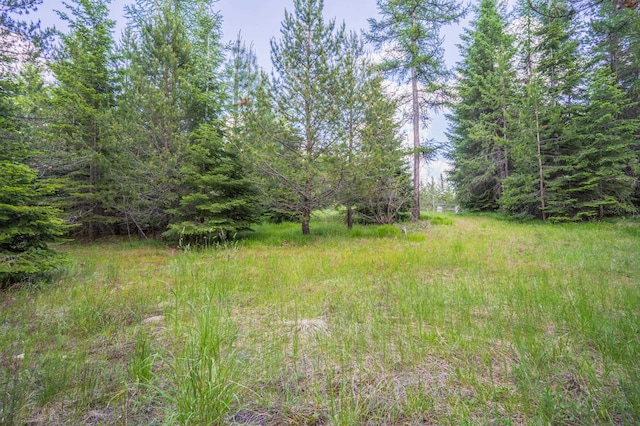 351 Stohr Rd, Newport, WA 99156 - photo 5