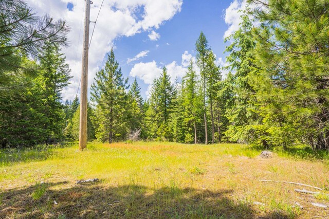 351 Stohr Rd, Newport, WA 99156 - photo 9