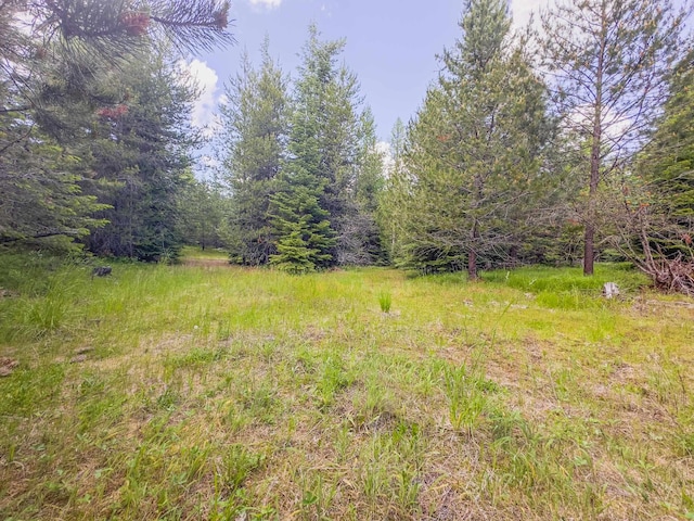 351 Stohr Rd, Newport, WA 99156 - photo 10