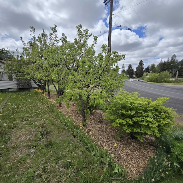 338 S Ramsey St, Tekoa, WA 99033 - photo 10