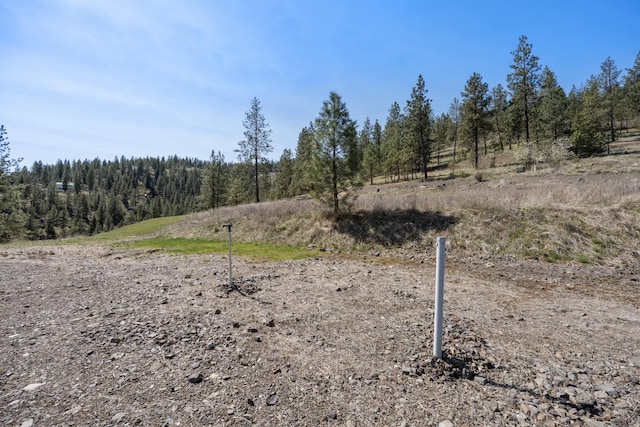 31640 Ringneck Ln E Lot 3, Davenport, WA 99122 - photo 11