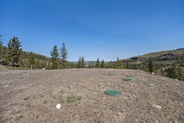 31640 Ringneck Ln E Lot 3, Davenport, WA 99122 - photo 12