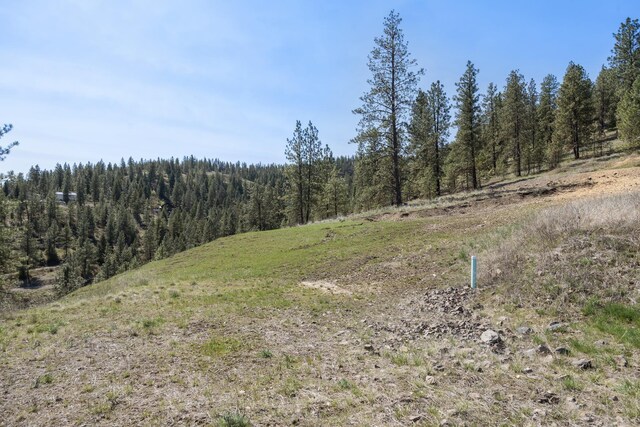 31640 Ringneck Ln E Lot 3, Davenport, WA 99122 - photo 13