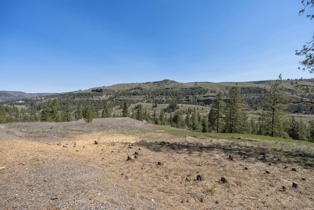 31640 Ringneck Ln E Lot 3, Davenport, WA 99122 - photo 14