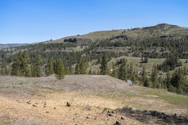 31640 Ringneck Ln E Lot 3, Davenport, WA 99122 - photo 15