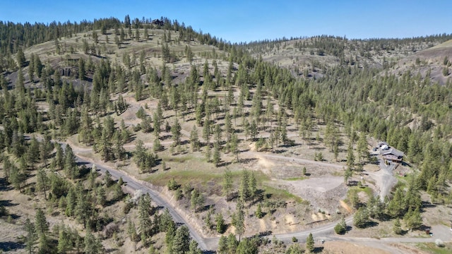 31640 Ringneck Ln E Lot 3, Davenport, WA 99122 - photo 39