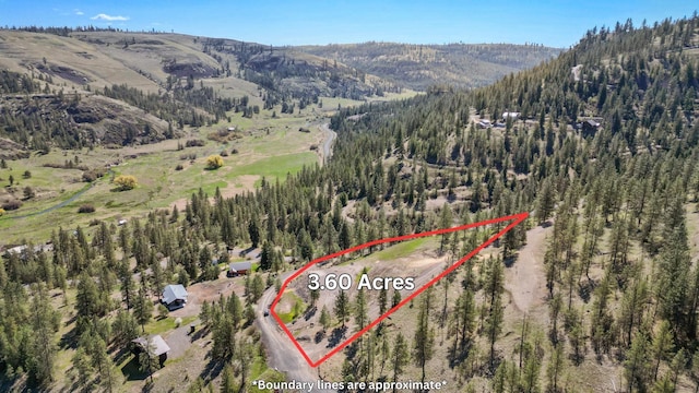 31640 Ringneck Ln E Lot 3, Davenport, WA 99122 - photo 5