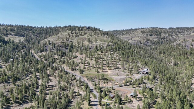 31640 Ringneck Ln E Lot 3, Davenport, WA 99122 - photo 45