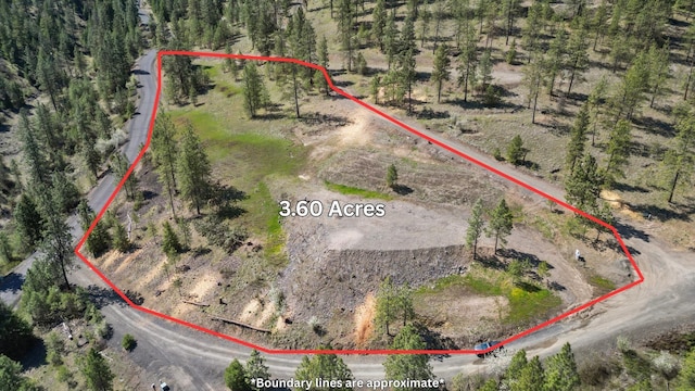 31640 Ringneck Ln E Lot 3, Davenport, WA 99122 - photo 6