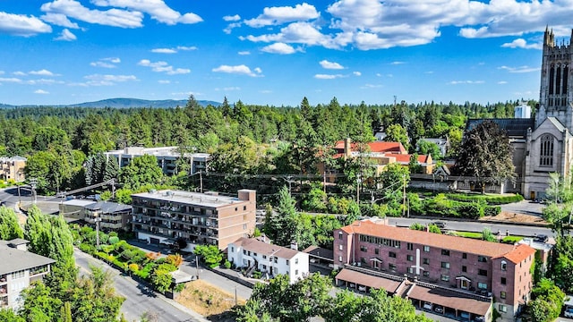 118 E Rockwood Blvd, Spokane, WA 99202 - photo 47