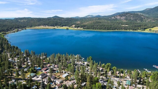 33189 SE Kaylin, Valley, WA 99181 - photo 49