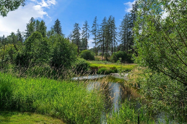 15612 N Little Spokane Dr, Spokane, WA 99208 - photo 36