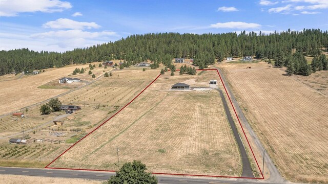 6957 E Big Meadows Rd, Chattaroy, WA 99003 - photo 39