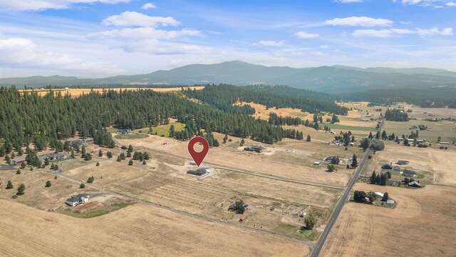 6957 E Big Meadows Rd, Chattaroy, WA 99003 - photo 40