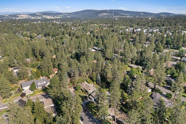 1116 E Plateau Rd, Spokane, WA 99203 - photo 50