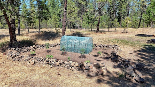 17521 S Lois Dr, Cheney, WA 99004 - photo 45