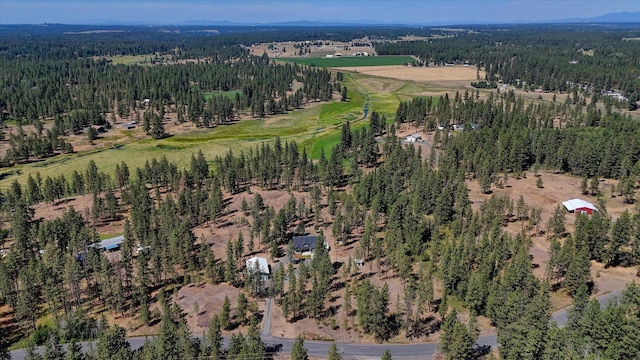 17521 S Lois Dr, Cheney, WA 99004 - photo 48