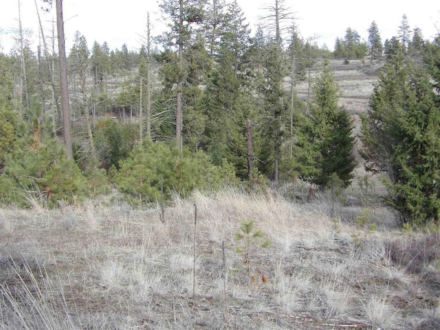 LOT2 Pine Hen Ln, Davenport, WA 99122 - photo 11