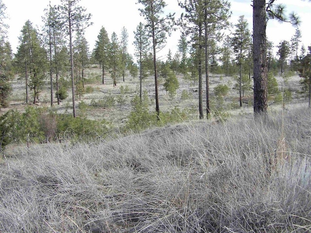 LOT2 Pine Hen Ln, Davenport, WA 99122 - photo 12