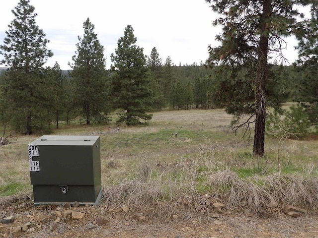 LOT2 Pine Hen Ln, Davenport, WA 99122 - photo 13
