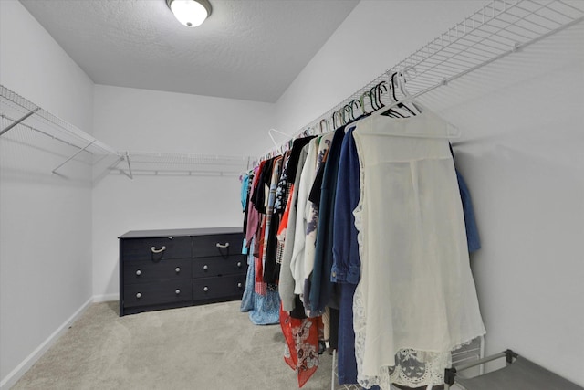 7508 S Dour St, Cheney, WA 99004 - photo 18