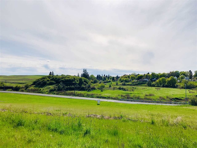 438 S College St, Tekoa, WA 99033 - photo 4
