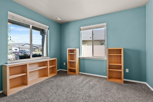 728 Egret Ln, Cheney, WA 99004 - photo 21