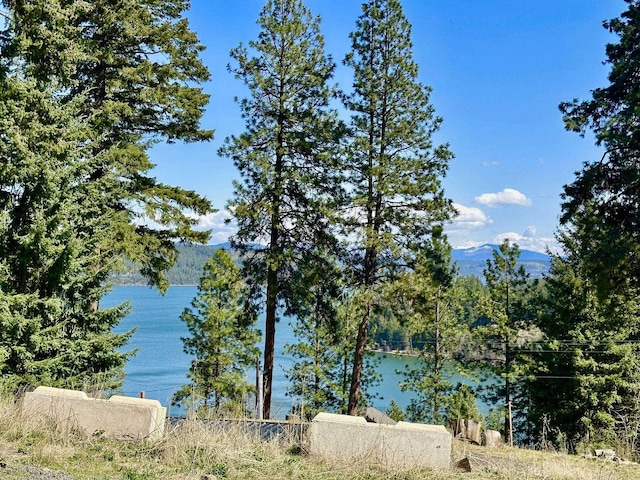 21503 S Cave Bay Rd, Worley, ID 83876 - photo 2