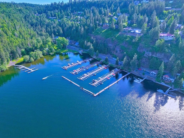 21503 S Cave Bay Rd, Worley, ID 83876 - photo 16