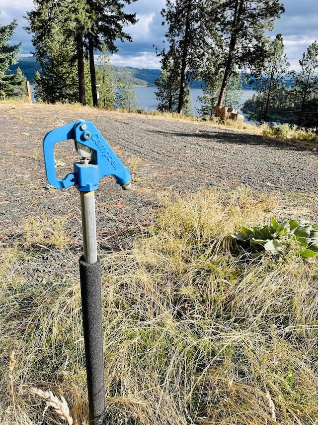 21503 S Cave Bay Rd, Worley, ID 83876 - photo 19