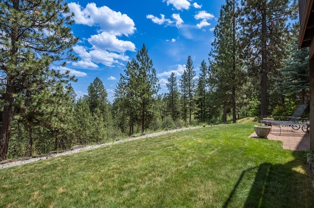 13415 S Greyhawk Ln, Spokane, WA 99224 - photo 8