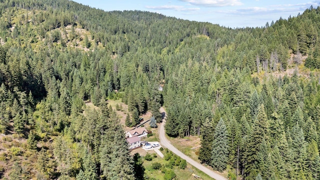 440 Lucky Joe Rd, Newport, WA 99156 - photo 44