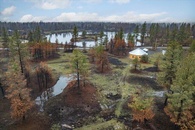 10231 S Medical Lake Rd, Medical Lake, WA 99022 - photo 1