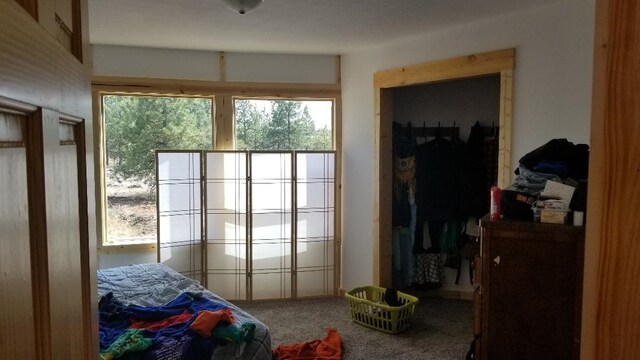 10231 S Medical Lake Rd, Medical Lake, WA 99022 - photo 15