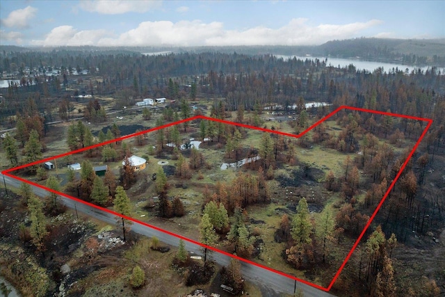 10231 S Medical Lake Rd, Medical Lake, WA 99022 - photo 35