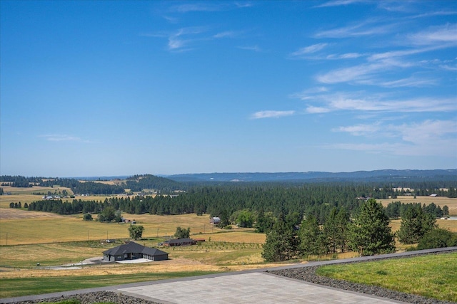 7011 E Big Meadows Rd, Chattaroy, WA 99003 - photo 11