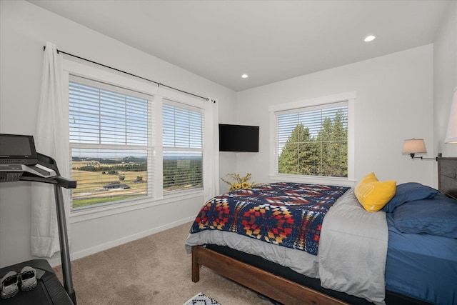 7011 E Big Meadows Rd, Chattaroy, WA 99003 - photo 23