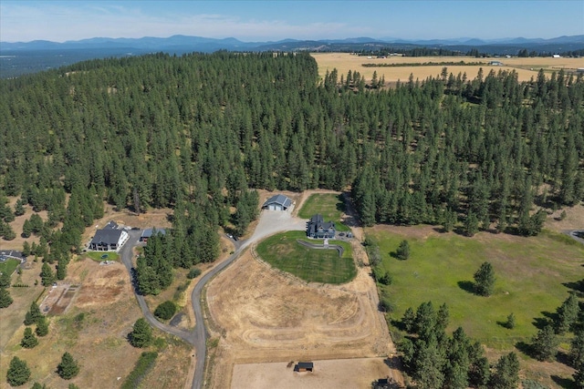 7011 E Big Meadows Rd, Chattaroy, WA 99003 - photo 48