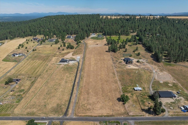 7011 E Big Meadows Rd, Chattaroy, WA 99003 - photo 50