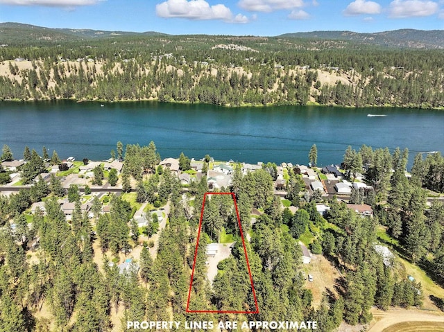 17717 N W Shore Rd, Nine Mile Falls, WA 99026 - photo 41