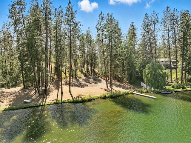 17717 N W Shore Rd, Nine Mile Falls, WA 99026 - photo 43
