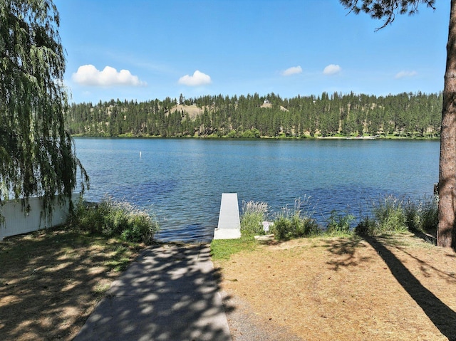 17717 N W Shore Rd, Nine Mile Falls, WA 99026 - photo 44