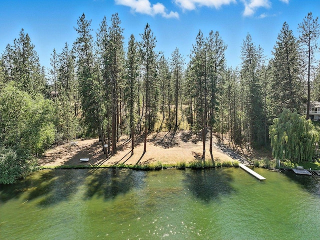 17717 N W Shore Rd, Nine Mile Falls, WA 99026 - photo 45