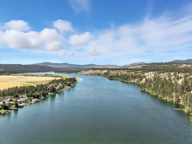 17717 N W Shore Rd, Nine Mile Falls, WA 99026 - photo 49