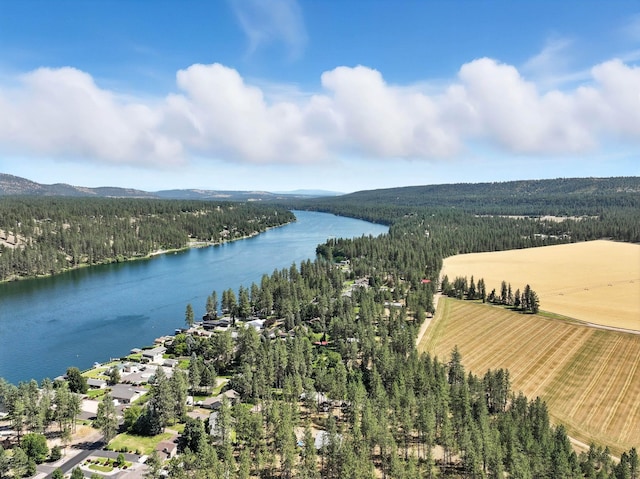 17717 N W Shore Rd, Nine Mile Falls, WA 99026 - photo 50